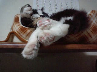 溢れるパワー