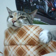 ねーむー