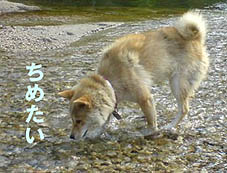 長い〜