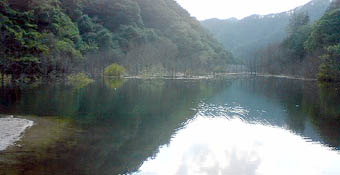 長い〜