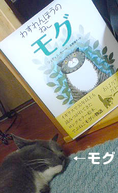 そっくりやん