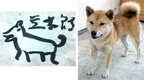 文字の魅力