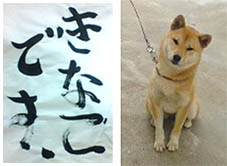 文字の魅力