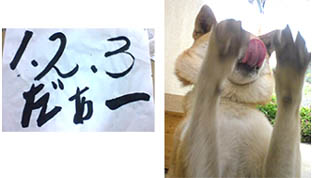 文字の魅力