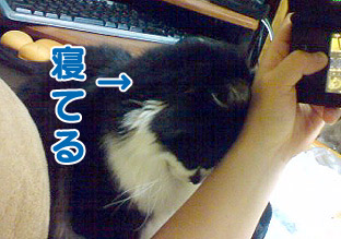 首が凝らないか
