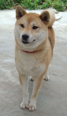 えと・・えと・・