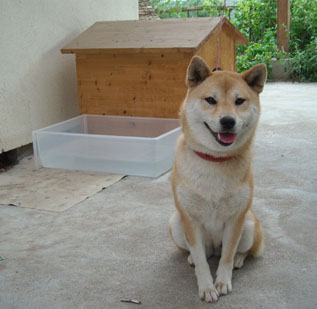 えと・・えと・・