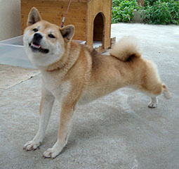 えと・・えと・・