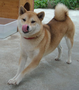 えと・・えと・・
