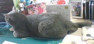 なぜそこに。