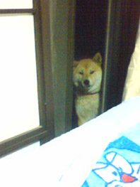 えと・・・えと・・・