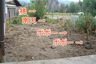 腰痛ぇな