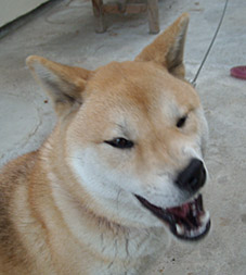 腰痛ぇな