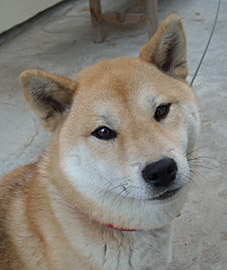 腰痛ぇな