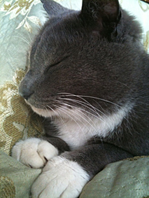 ぬくくて眠い。