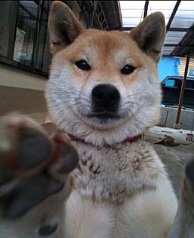 そりゃあもうくっきりと。