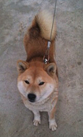 おさんぽ・・・?