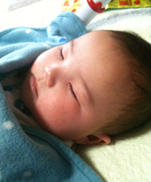 しかしもっふもふやな。
