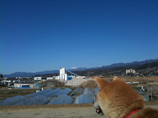 気持ち良かった~。
