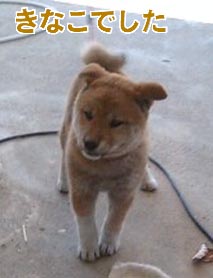 見つめる瞳