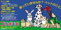 11月の定休日&年末年始の営業について