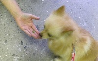 笑顔を見せてくれました。ありがとう