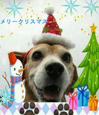 ♪ジングルベル ♪ ジングルベル♪