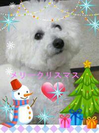 ♪ジングルベル ♪ ジングルベル♪