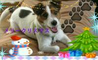 ☆メリークリスマス☆