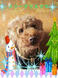 ☆メリークリスマス☆