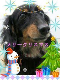 ☆メリークリスマス☆