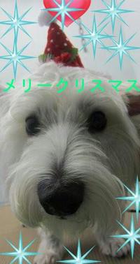 ☆メリークリスマス☆