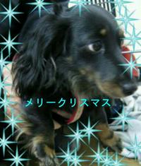☆メリークリスマス☆