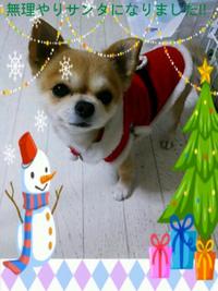 ♪ジングルベル ♪ ジングルベル♪