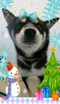☆メリークリスマス☆