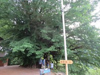 「大鹿村」例会に参加して