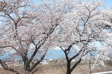 長者原公園(塩尻市) 長者原公園(塩尻市)