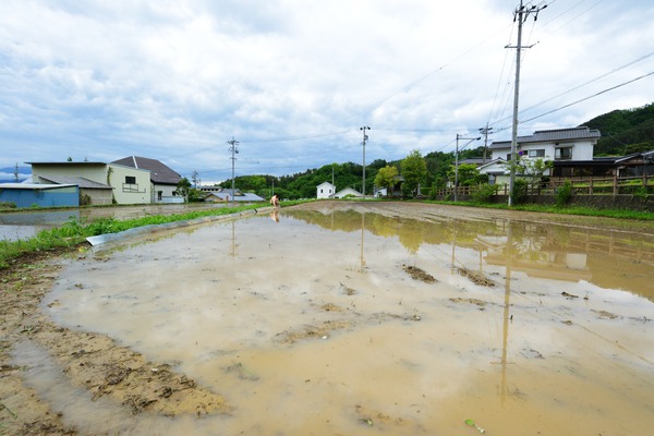 なつみ農園 お米『縁結び』 なつみ農園 お米『縁結び』