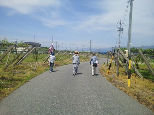 初めてのワイナリーフェスタ 初めてのワイナリーフェスタ