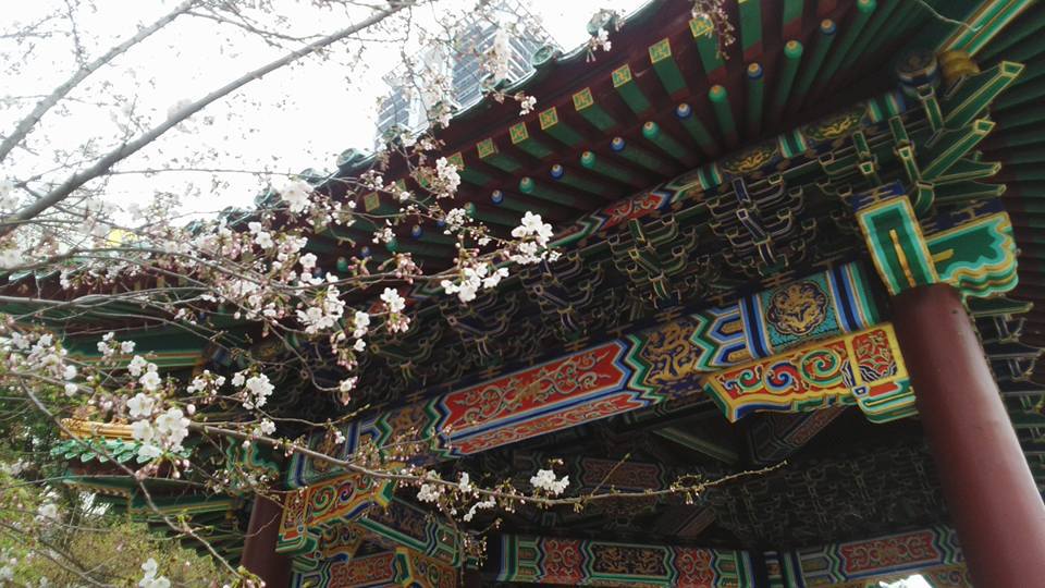 さまざまのこと思ひ出す桜かな さまざまのこと思ひ出す桜かな
