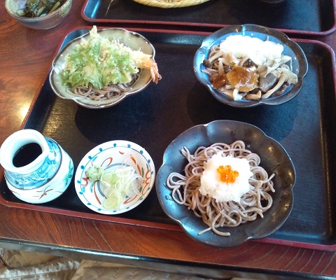 石挽そば処 もえぎ野(朝日村)
