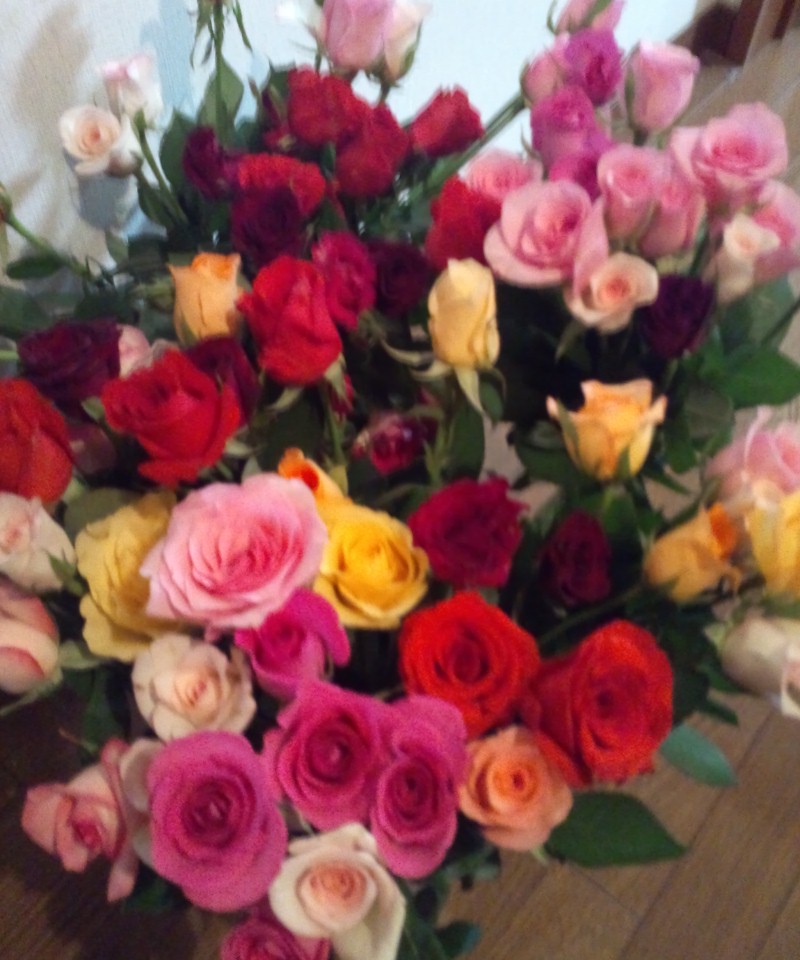 人生初の薔薇ざんまい