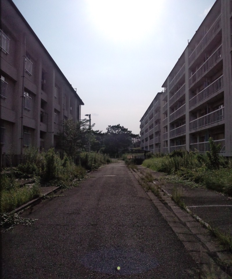 つわものどもがゆめのあと