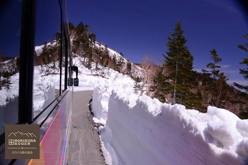 あと三日!! 乗鞍岳春山バス 4/23より運行開始☆ あと三日!! 乗鞍岳春山バス 4/23より運行開始☆