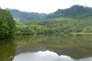間もなく鏡池は紅葉!でも、その前に・・・