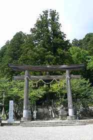 津村信夫の紫陽花忌 1