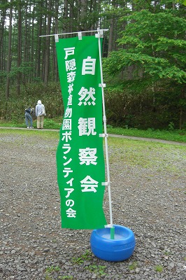 体験取材★『定例自然観察会』へ行ってきました!!