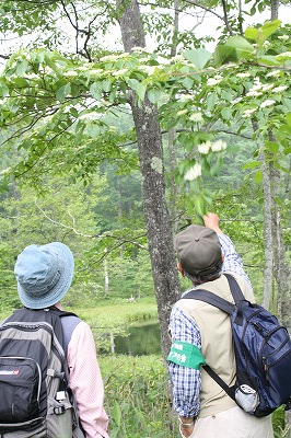 体験取材★『定例自然観察会』へ行ってきました!!