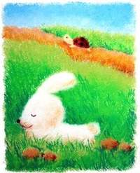 ウサギとカメ(^_^)
