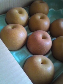 しろいの梨♪